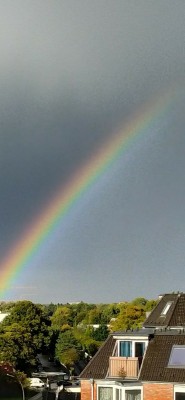 IMG_20201114_225318.jpg (243.91 KiB) 9304-mal betrachtet IMG_20201114_225318.jpg