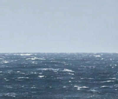 IMG_20201211_171012.jpg