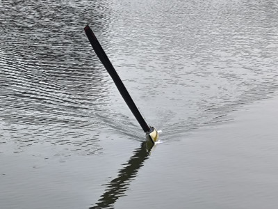 IMG_20250813_174843.jpg (2.46 MiB) 1144-mal betrachtet IMG_20250813_174843.jpg