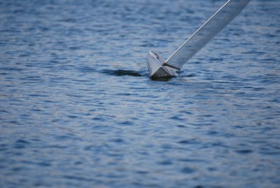 DSC_0354 - Kopie.JPG