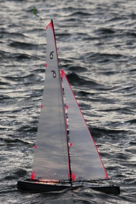 IMG_4743.JPG