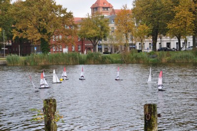 DSC_1237.jpg