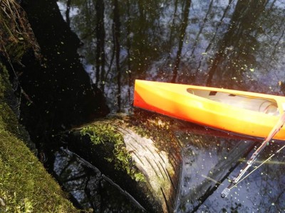 CameraZOOM-20190430143201751_800_600.jpg (108.11 KiB) 11060-mal betrachtet CameraZOOM-20190430143201751_800_600.jpg